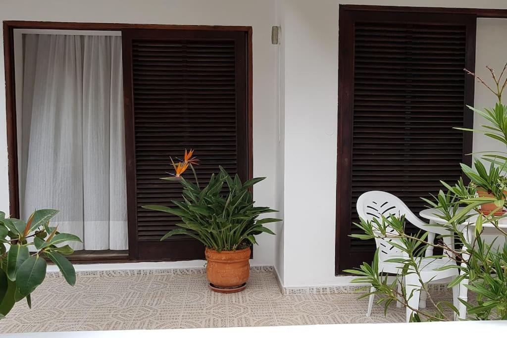 Apartamento Luminoso Con Patio Y Jardin Puerto de la Cruz  Esterno foto