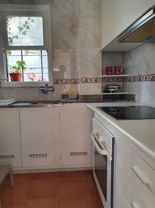 Apartamento Luminoso Con Patio Y Jardin Puerto de la Cruz  Esterno foto