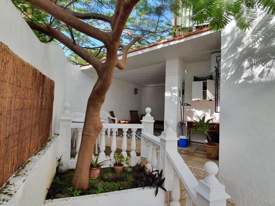 Apartamento Luminoso Con Patio Y Jardin Puerto de la Cruz  Esterno foto