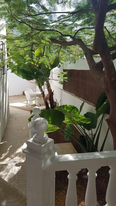 Apartamento Luminoso Con Patio Y Jardin Puerto de la Cruz  Esterno foto